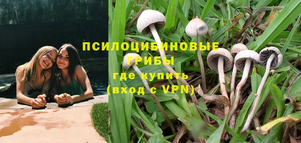 гидропоника Лагань