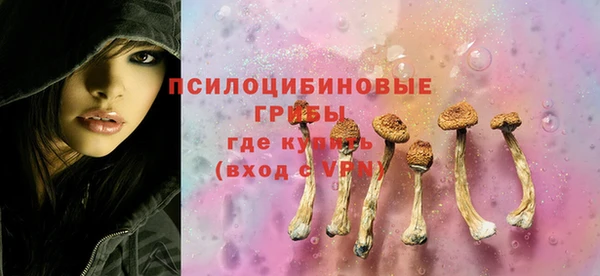 гидропоника Лагань