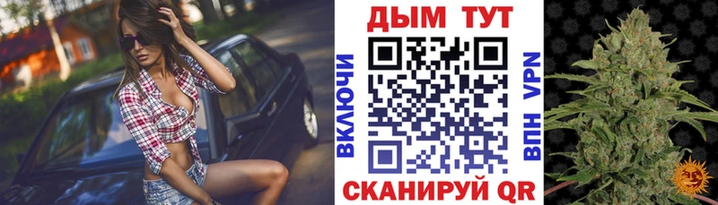 Купить где  Барыш  Бошки Шишки OG Kush 